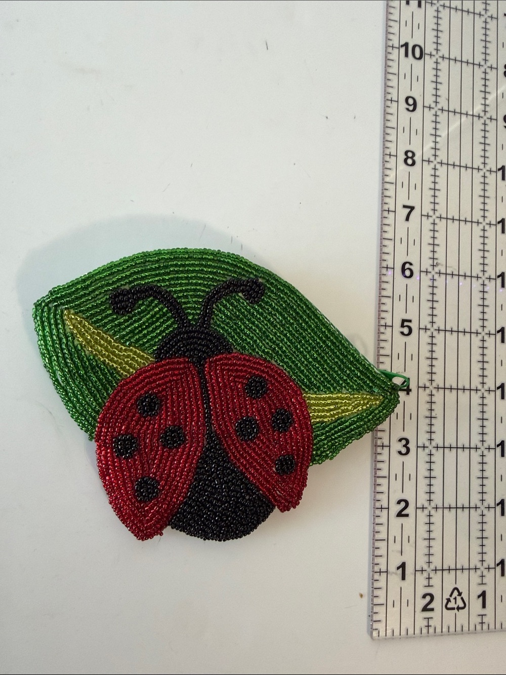 Beaded Ladybug Cosmetic/coon 25Pouch in Green & Red